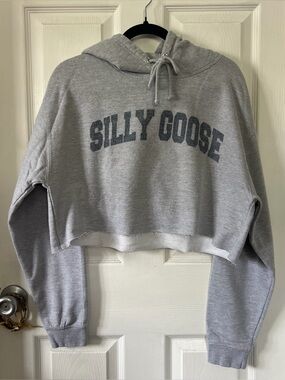 silly goose collegiate cut cropped hoodie